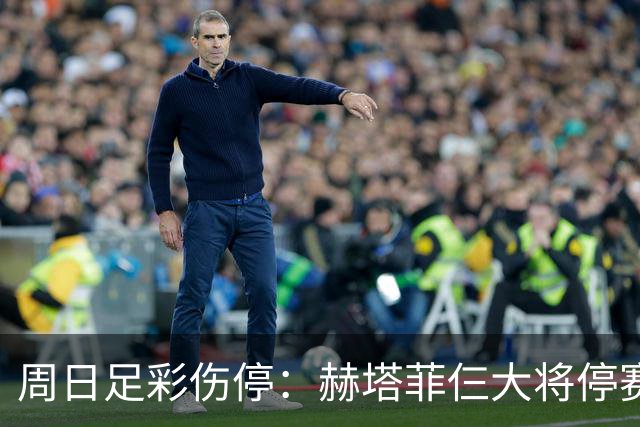 周日足彩伤停：赫塔菲仨大将停赛 热刺伤病满营